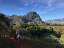 Valle de vinales : plantations de tabac et randonnée à cheval